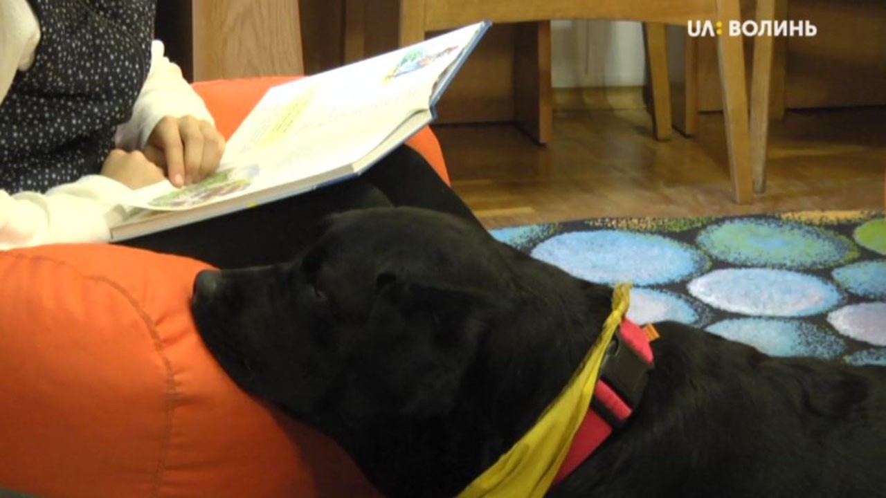 У Луцьку собака допомагає дітям читати