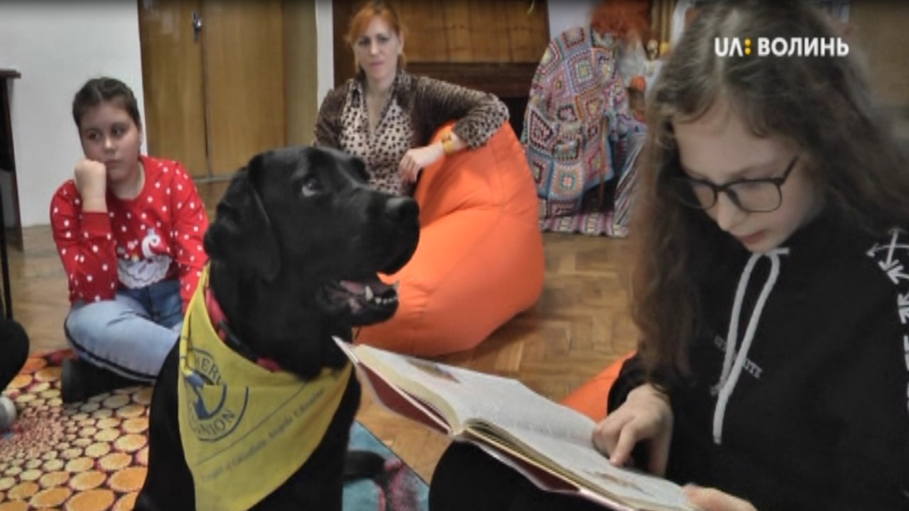 Лабрадорка на прізвисько Пуша спонукає дітей до читання